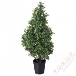 ⭐FEJKA⭐Искусственное комнатное растение, внутренности/за пределами самшита, 19 cm⭐ИКЕА-00535605