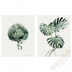 ⭐BILD⭐Плакат, Zielone листья, 40x50 cm⭐ИКЕА-20436039