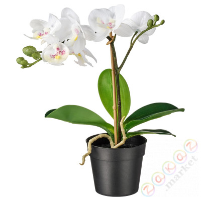⭐FEJKA⭐Искусственное комнатное растение, Белая орхидея9 cm⭐ИКЕА-00285908