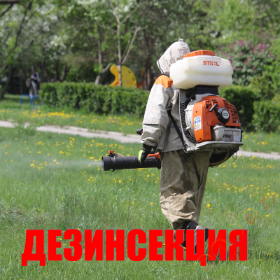 Дезинсекция одной сотки уничтожение клещей в Калининграде