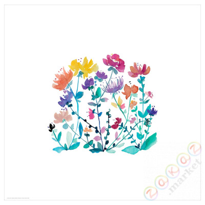 ⭐BILD⭐Плакат, polne цветокy, 50x50 cm⭐ИКЕА-60441816