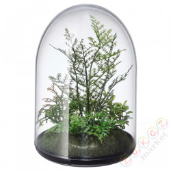 ⭐INVANDIG⭐Sztuczne terrarium, kopuła, 15 cm⭐ИКЕА-30461127