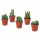⭐CACTACEAE⭐Растение в горшке, различный Кактус, 12 cm⭐ИКЕА-00310960 ⭐CACTACEAE⭐Растение в горшке, различный Кактус, 12 cm⭐ИКЕА-00310960