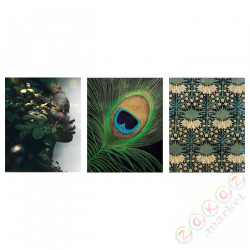 ⭐BILD⭐Плакат, зеленыйone pióro, 40x50 cm⭐ИКЕА-10534059