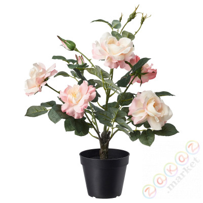 ⭐FEJKA⭐Искусственное комнатное растение, внутренности/снаружи/Розовая роза, 12 cm⭐ИКЕА-90532773