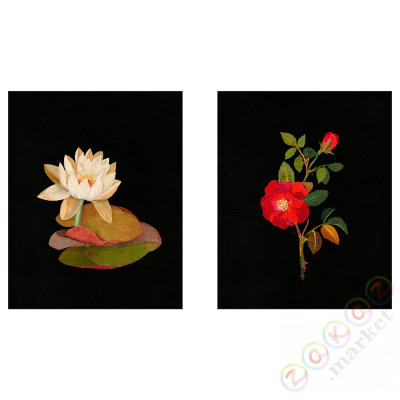 ⭐BILD⭐Плакат, Flora Delanica I, 40x50 cm⭐ИКЕА-00446925