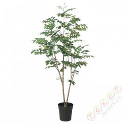 ⭐FEJKA⭐Искусственное комнатное растение, внутренности/снаружиКрасный drвызовo sandałowe, 19 cm⭐ИКЕА-00571698