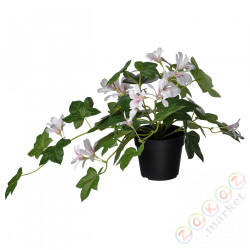 ⭐FEJKA⭐Искусственное комнатное растение, внутренности/вне пеларгонии/висит светло-розовый, 9 cm⭐ИКЕА-40538008