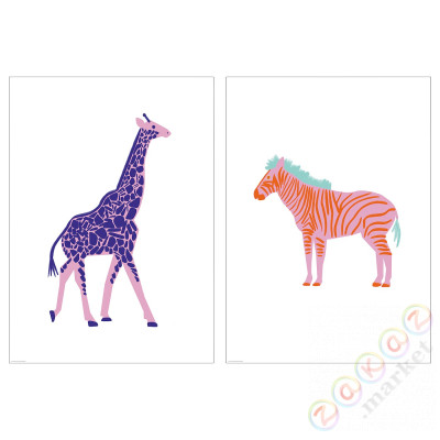 ⭐BILD⭐Плакат, żyrafa i зебра, 50x70 cm⭐ИКЕА-70534056