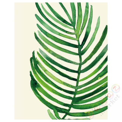 ⭐BILD⭐Плакат, Liść palmy tropikalnej II, 40x50 cm⭐ИКЕА-70442071