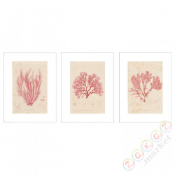 ⭐BILD⭐Плакат, wodorosty, 30x40 cm⭐ИКЕА-70436174