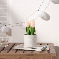 ⭐FEJKA⭐Искусственное комнатное растение, внутренности/снаружи/Tulipan розовый, 9 cm⭐ИКЕА-60571681