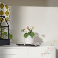 ⭐FEJKA⭐Искусственное комнатное растение, внутренности/снаружи/Pelargonia светло-розовый, 9 cm⭐ИКЕА-70571685