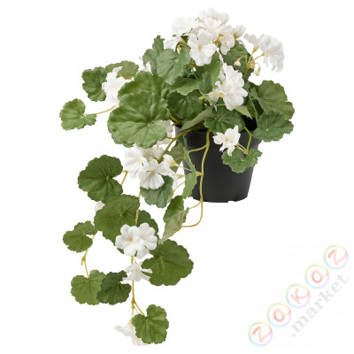 ⭐FEJKA⭐Искусственное комнатное растение, внутренности/вне пеларгонии/висит белый, 12 cm⭐ИКЕА-20535609