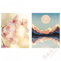 ⭐BILD⭐Плакат, niesamowita przyroda, 40x50 cm⭐ИКЕА-50513074