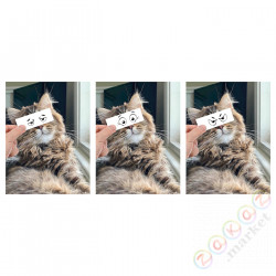 ⭐BILD⭐Плакат, KleoCatra, 30x40 cm⭐ИКЕА-70559933