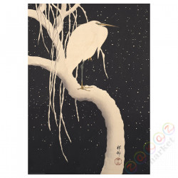 ⭐BILD⭐Плакат, szpiegowanie, 50x70 cm⭐ИКЕА-50513050