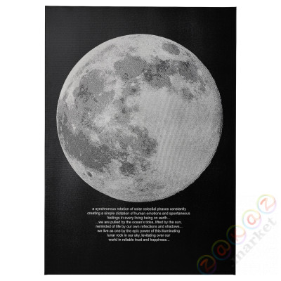 ⭐PJATTERYD⭐Образ, Мирło księżyca, 50x70 cm⭐ИКЕА-50554502