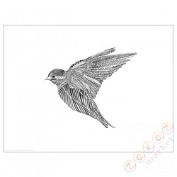 ⭐BILD⭐Плакат, Cзаrny ptak, 40x30 cm⭐ИКЕА-60436099