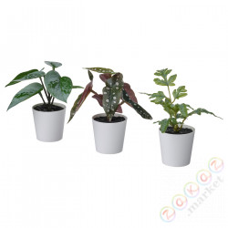 ⭐FEJKA⭐Sztuczna rośl donicz+don набор. 3s, внутренности/зеленый снаружи, 6 cm⭐ИКЕА-50538017