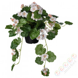 ⭐FEJKA⭐Искусственное комнатное растение, внутренности/вне пеларгонии/висит светло-розовый, 12 cm⭐ИКЕА-40535608