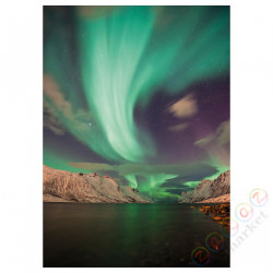 ⭐PJATTERYD⭐Образ, Zorза polarna III, 50x70 cm⭐ИКЕА-40559939