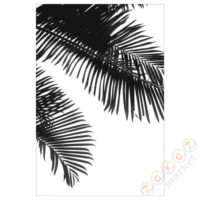 ⭐BILD⭐Плакат, Linearne листья palmowe, 61x91 cm⭐ИКЕА-40442256
