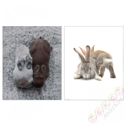 ⭐BILD⭐Плакат, sympatyczni przyjaciele, 40x50 cm⭐ИКЕА-20533295