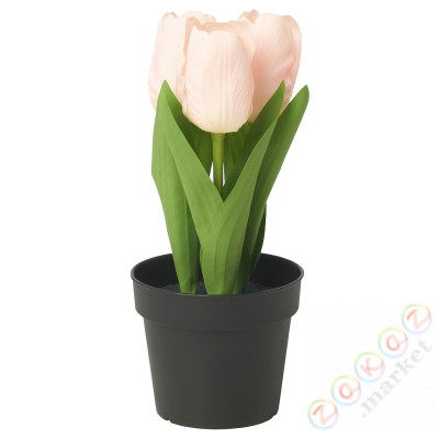 ⭐FEJKA⭐Искусственное комнатное растение, внутренности/снаружи/Tulipan розовый, 9 cm⭐ИКЕА-60571681