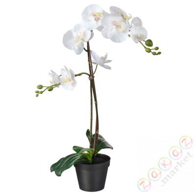 ⭐FEJKA⭐Искусственное комнатное растение, Белая орхидея, 12 cm⭐ИКЕА-80285909