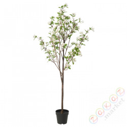 ⭐FEJKA⭐Искусственное комнатное растение, внутренности/снаружиjabłoń, 19 cm⭐ИКЕА-70571911