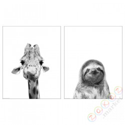 ⭐BILD⭐Плакат, witaj przyjacielu, 40x50 cm⭐ИКЕА-10527426