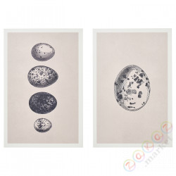 ⭐BJORNAMO⭐Образ na pанеlu деревоm, jajka, 20x30 cm⭐ИКЕА-30533214