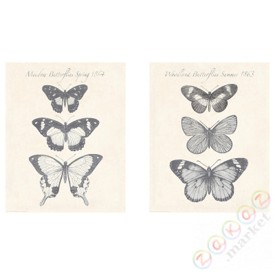 ⭐BILD⭐Плакат, бабочкаe, 40x50 cm⭐ИКЕА-20442139