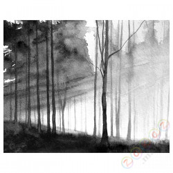 ⭐PJATTERYD⭐Образ, prześwitujący, 50x40 cm⭐ИКЕА-80554930