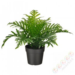 ⭐FEJKA⭐Искусственное комнатное растение, внутренности/снаружиPaprotka, 9 cm⭐ИКЕА-50493349
