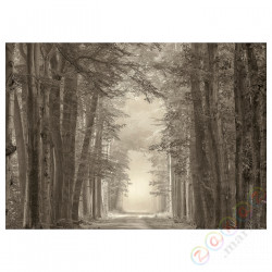 ⭐PJATTERYD⭐Образ, leśne drogi, 70x50 cm⭐ИКЕА-10554924