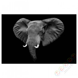 ⭐PJATTERYD⭐Образ, masikio noir, 118x78 cm⭐ИКЕА-40568118