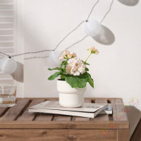 ⭐FEJKA⭐Искусственное комнатное растение, внутренности/снаружи/Pelargonia светло-розовый, 9 cm⭐ИКЕА-70571685