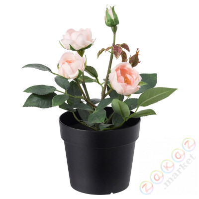 ⭐FEJKA⭐Искусственное комнатное растение, внутренности/снаружи/Розовая роза, 9 cm⭐ИКЕА-00395313