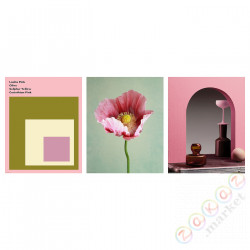 ⭐BILD⭐Плакат, laelia розовыйowa, 40x50 cm⭐ИКЕА-90554963