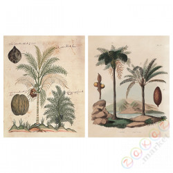 ⭐PJATTERYD⭐Образ, gałązka paproci, 40x50 cm⭐ИКЕА-60554926