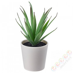 ⭐FEJKA⭐Искусственное растение в горшке, внутренности/на открытом воздухе сочные, 6 cm⭐ИКЕА-80519767