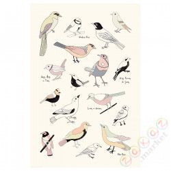 ⭐BILD⭐Плакат, życт.е.ptaków, 61x91 cm⭐ИКЕА-90441792