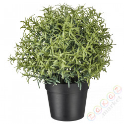 ⭐FEJKA⭐Искусственное комнатное растение, Розмари, 9 cm⭐ИКЕА-90382113